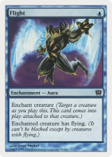 Flight card image