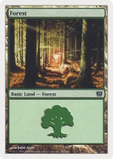 Forest card image