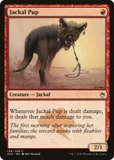 Jackal Pup card image