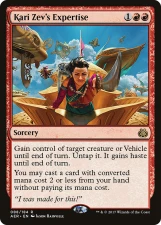 Kari Zev’s Expertise card image