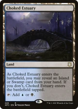 Choked Estuary card image