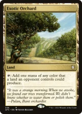 Exotic Orchard card image