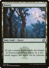 Forest card image