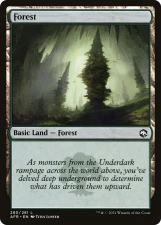 Forest card image