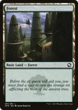 Forest card image