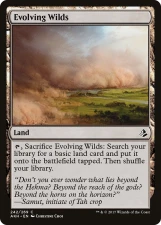 Evolving Wilds card image