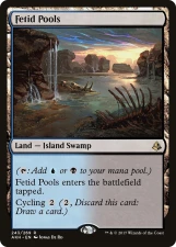 Fetid Pools card image