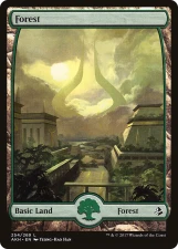 Forest card image