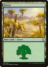 Forest card image