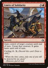 Limits of Solidarity card image