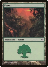 Forest card image