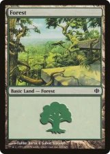 Forest card image