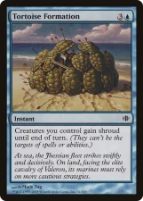 Tortoise Formation card image