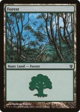 Forest card image