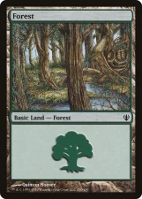 Forest card image