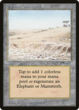 Elephant Graveyard card image