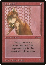 Hurr Jackal card image