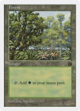 Forest card image