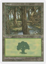 Forest card image