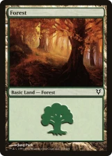 Forest card image