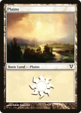 Plains card image