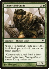 Timberland Guide card image