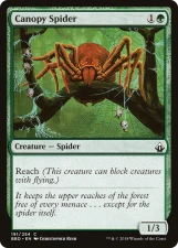 Canopy Spider card image