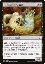 Rotfeaster Maggot card image