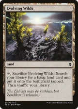 Evolving Wilds card image