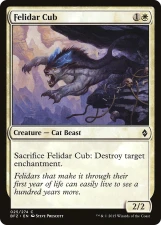 Felidar Cub card image