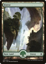 Forest card image