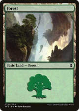 Forest card image