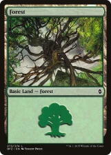 Forest card image