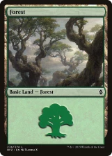Forest card image