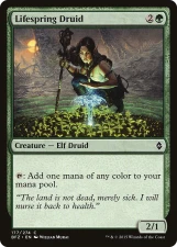 Lifespring Druid card image