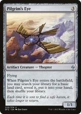 Pilgrim’s Eye card image