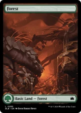 Forest card image