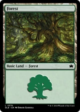 Forest card image