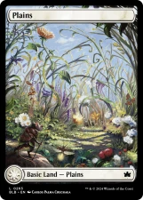 Plains card image
