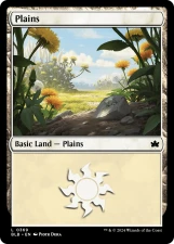 Plains card image