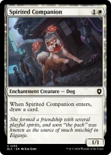 Spirited Companion card image