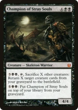 Champion of Stray Souls card image