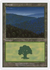 Forest card image