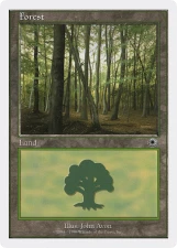 Forest card image