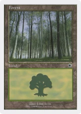 Forest card image