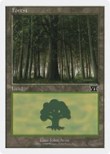 Forest card image