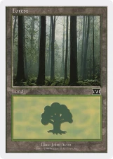 Forest card image
