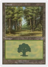 Forest card image