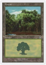 Forest card image