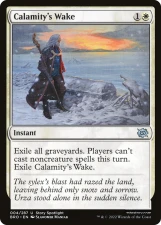 Calamity’s Wake card image